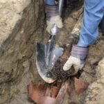 tree root intrusion in sewer line Greenville, SC